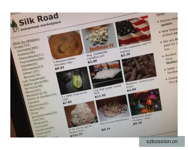 暗网禁地：迷失与求索的边界